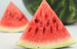 小马瓜晒干吃的作用,传统零食的新食尚，养生保健的天然选择  第1张