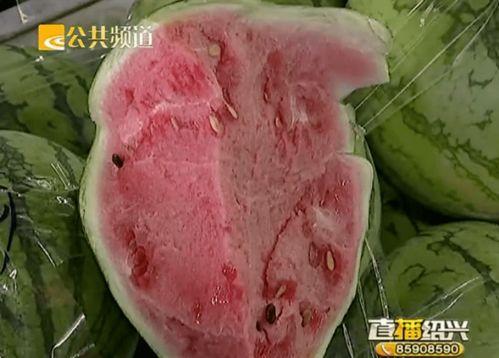 绍兴柯桥吃瓜,夏日吃瓜指南，尽享清凉时光  第1张