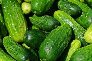 梦见吃树瓜,揭秘吃树瓜的神秘寓意  第3张