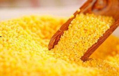 小米99元吃瓜,小米带你吃瓜狂欢  第3张