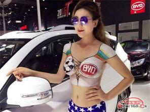 吃瓜盟主比亚迪,吃瓜盟主引领新能源汽车新潮流  第3张