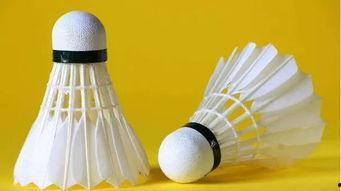 羽毛球吃瓜,揭秘“吃瓜群众”背后的故事  第1张