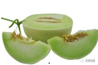 青皮绿肉瓜怎么吃,多汁美味，多样食法探索  第2张