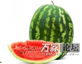缺水吃啥瓜,探索解渴美食之旅  第1张
