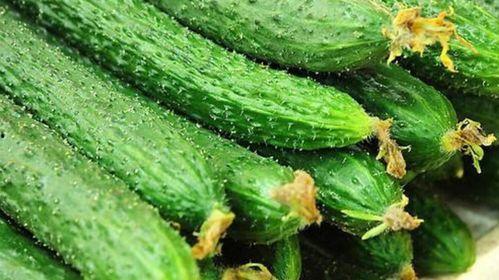 缺水吃啥瓜,探索解渴美食之旅  第3张