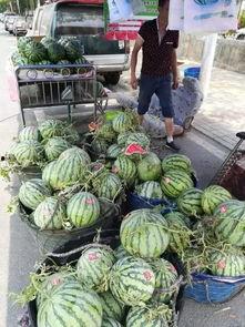 柯桥最近吃瓜事件  第2张