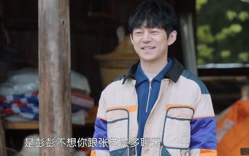 张艺兴吃瓜人,从明星到吃瓜达人的人生转变  第2张