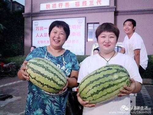 今日吃瓜大汇总  第2张