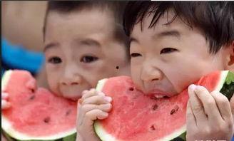 吃瓜要感谢,揭秘幕后故事与幕后英雄  第3张