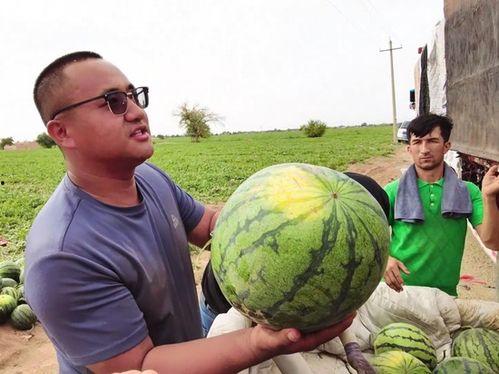 贺阳吃瓜,揭秘娱乐圈背后的那些事儿  第1张