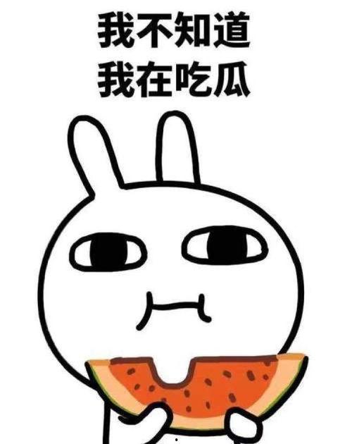 吃瓜大结局,揭秘真相，尘埃落定  第1张