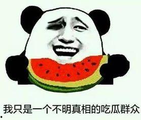 吃瓜好听又解压,轻松解压的听觉盛宴  第2张