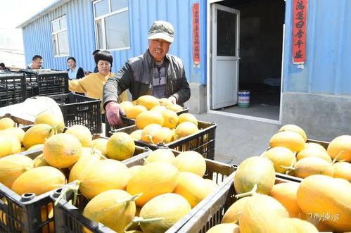 早期网红吃瓜,揭秘网络红人幕后故事  第1张