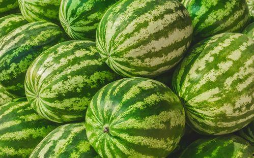 在线吃瓜的  第1张