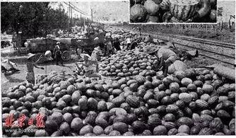 老北京吃瓜群众,街头巷尾的市井生活  第3张