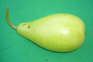 吃蒲瓜多好吗  第3张