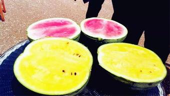 缅北吃瓜视频爆料  第1张