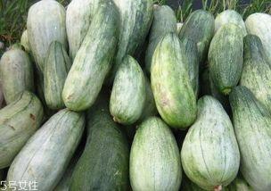 吃老瓜好处,揭秘吃老瓜的五大益处  第3张