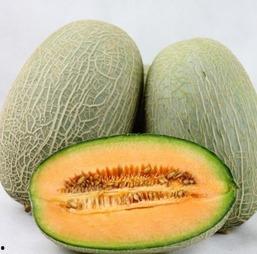 减肥水瓜怎么吃,水瓜减肥食谱，教你如何科学食用  第2张