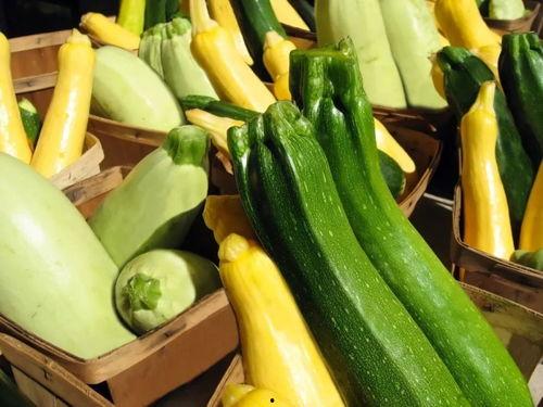 吃瓜多种视频  第2张