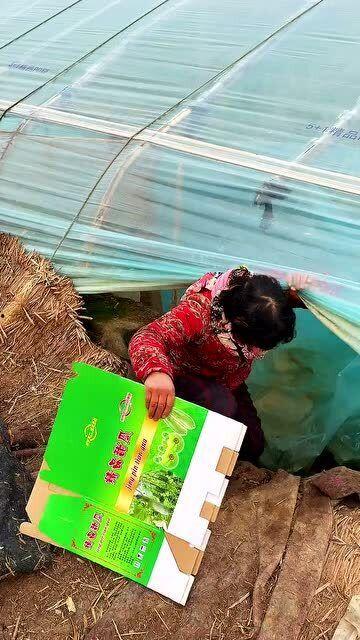 腊月瓜怎么吃  第1张