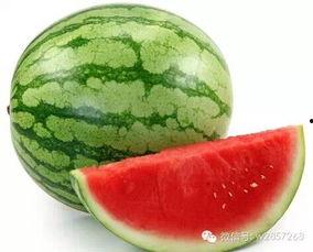 顶呱呱吃瓜  第2张