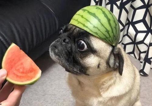 今日吃瓜戴局  第1张