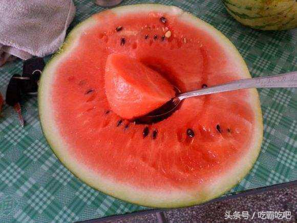 网络在线吃瓜  第2张