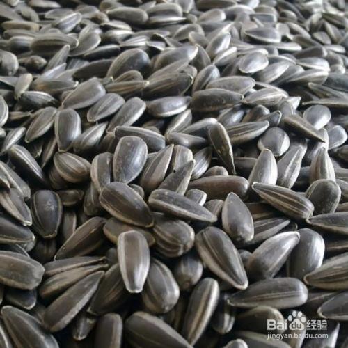 瓜子吃瓜头,揭秘瓜子的独特魅力与食用技巧  第2张