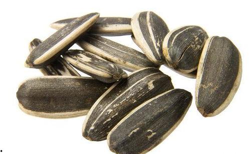 瓜子吃瓜头,揭秘瓜子的独特魅力与食用技巧  第3张