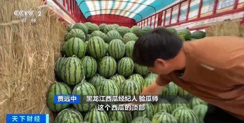 大沥吃瓜  第2张