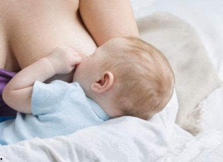 哺乳期可以吃八棱瓜吗,八棱瓜的适宜食用指南 第2张 哺乳期可以吃八棱瓜吗,八棱瓜的适宜食用指南 第2张