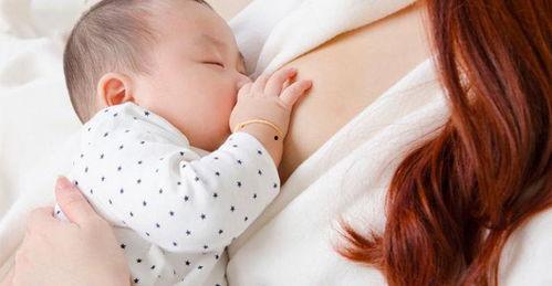 哺乳期可以吃八棱瓜吗,八棱瓜的适宜食用指南 第3张 哺乳期可以吃八棱瓜吗,八棱瓜的适宜食用指南 第3张