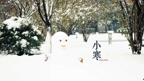 春风冬雪吃瓜,一场别开生面的美食盛宴 第2张 春风冬雪吃瓜,一场别开生面的美食盛宴 第2张