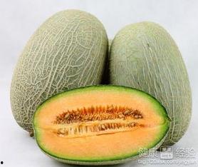 吃哈密瓜可以吃蒲公英吗,探索夏日消暑美食的奇妙组合 第3张 吃哈密瓜可以吃蒲公英吗,探索夏日消暑美食的奇妙组合 第3张